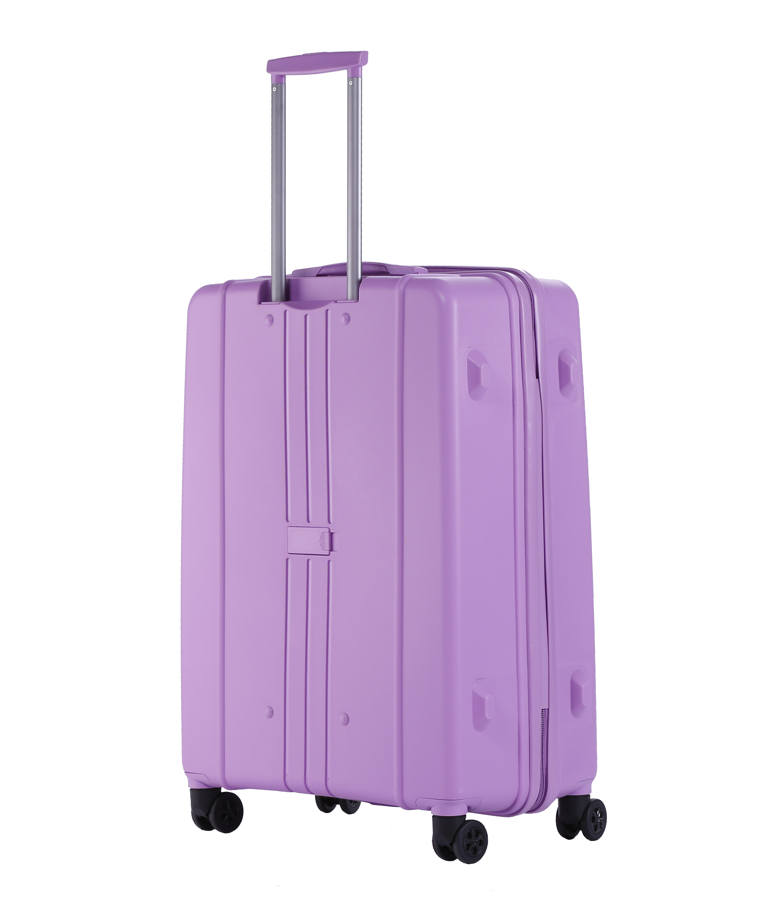 H8002 Purple